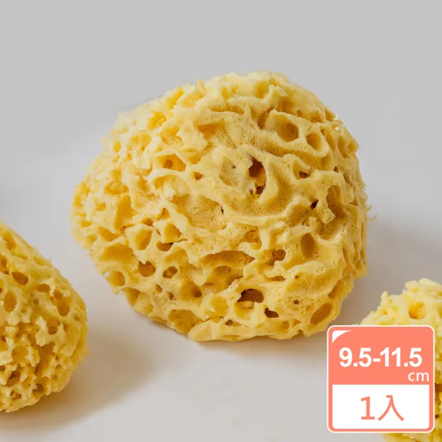 【BIOESTI】希臘地中海天然海綿蜂巢款9.5-11.5公分 一盒一入(洗臉/洗澡沐浴用)