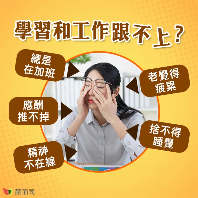 【赫而司】瑞士DSM多多B緩釋B群4罐(共120錠高單位全素食維他命高效防潮膜衣錠增強體力營養補給健康維持)
