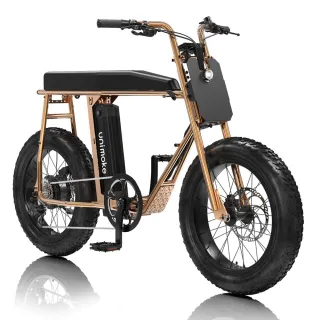 【SEic】Unimoke MK 玫瑰金 - 親子/寵物 電輔胖胎車 20吋(福利車六折限量出清)