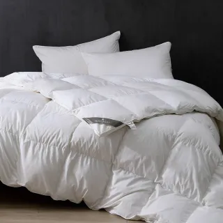 【MONTAGUT】日規JIS95%法國羽絨被(雙人180x210cm)