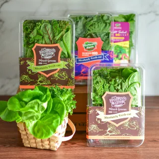 【源鮮智慧農場】超值明星綜合組-180g/盒*4盒(生菜、沙拉、萵苣、水耕蔬菜)