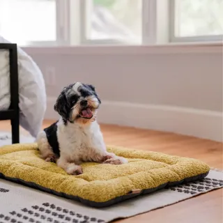 【P.L.A.Y.】峽谷舒活墊 寵物床墊 坐墊 XS 5色任選 寵物睡墊 狗狗睡墊