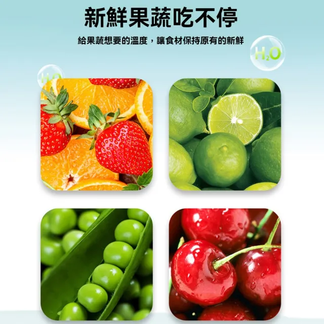 【諾必行】家用雙開門冰箱 立式冰箱 75公升(立式冷藏櫃 冷藏櫃 冷凍櫃 節能低效 隔板可拆)