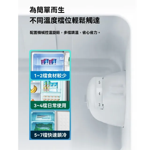 【諾必行】家用雙開門冰箱 立式冰箱 38公升(立式冷藏櫃 冷藏櫃 冷凍櫃 節能低效 隔板可拆)