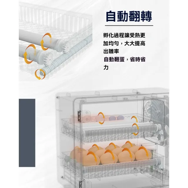 【諾必行】24枚恒溫孵化櫃 全自動孵化器(雞蛋孵化機 蘆丁雞孵蛋器 孵化箱 孵蛋器)