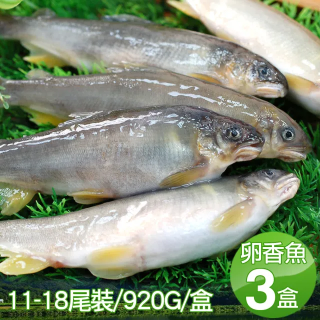 【築地一番鮮】宜蘭｜帶卵母香魚3盒｜11-18尾裝/920g/盒