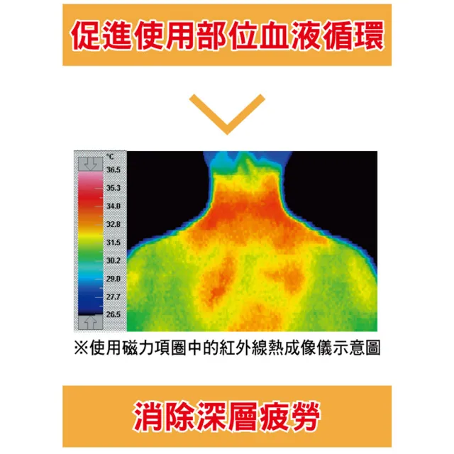 【易利氣】磁力項圈 EX(黑)