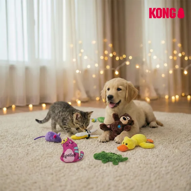 【KONG】輕巧發聲互動玩具－嘰喳小雞逗貓棒(貓咪玩具 互動玩具 逗貓棒 )