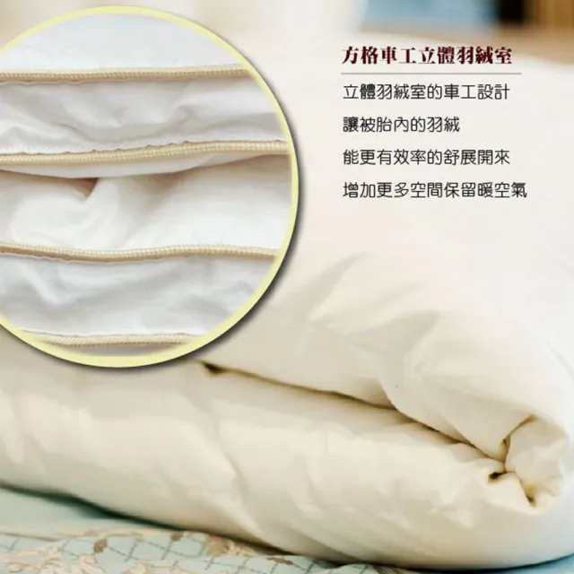 【JENNY SILK 蓁妮絲生活館】JS法國頂級98%羽絨被 法國進口鴨絨(雙人180X210CM)