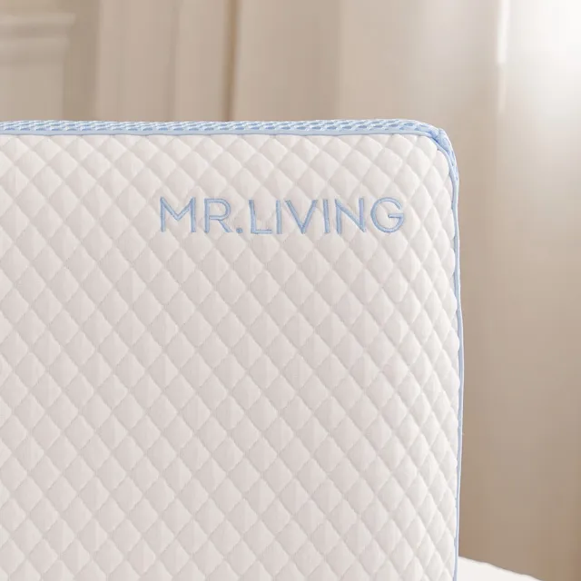 【MR. LIVING 居家先生】買一送一 涼感減壓記憶枕 枕頭 60*40*14cm(透氣涼感 雙面設計 可拆洗)
