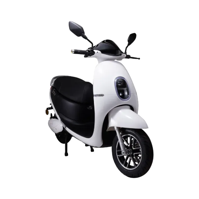 【ZAU】ES-1000 普通輕型電動機車