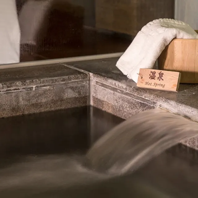 【台東鹿鳴溫泉酒店】指定假日不加價★2-4人入住溫泉4人房/雙人/寵物客房4選1(贈早餐2客+小旅行)