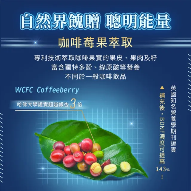 【iHDoc】捷迅 聰明能量錠(60粒/盒；3盒組)
