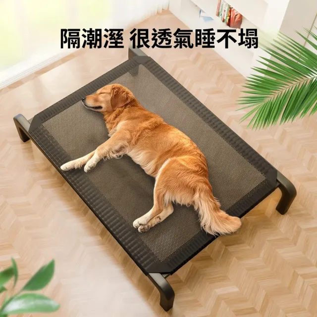 【Quality 聚家】狗狗行軍床 寵物離地床 狗狗睡覺墊子(123*73*20CM)(承重力強 結實穩固 防潮通風)