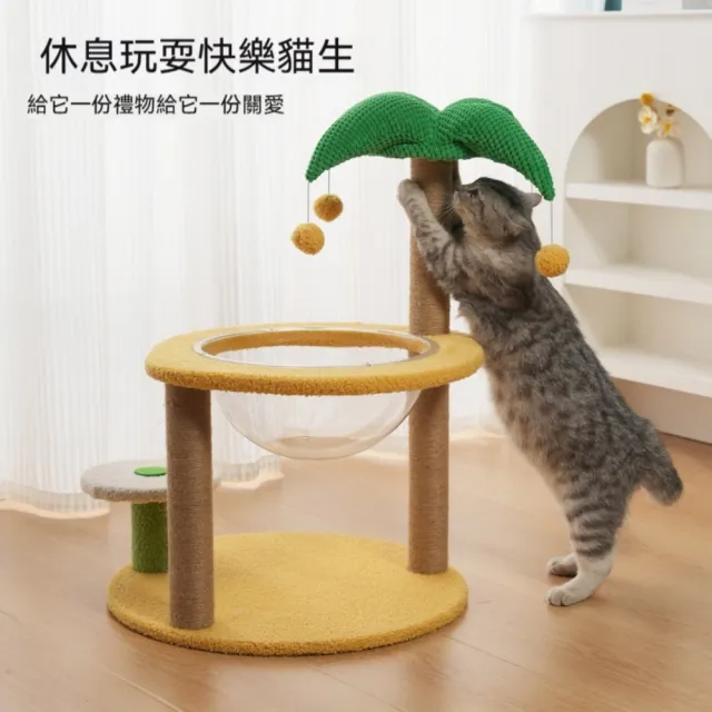 【艾嘉圖】大號貓爬架 小型不佔地貓架子 貓窩貓樹一體 貓抓柱 幼貓咪玩具用品(芭蕉☆爬架41*41*65)