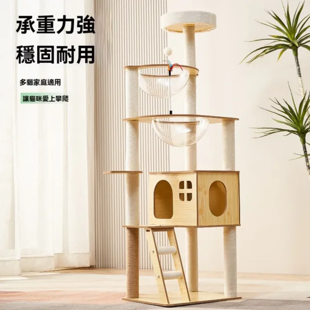 【艾嘉圖】貓爬架 貓窩貓樹一體 大貓專用 貓爬架子 貓咪太空艙攀爬架(貓爬架KT1041款60*40*129)