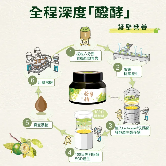 【ESSENTURE 大漢酵素】有機梅精 3瓶組(50g/瓶 原廠出貨)