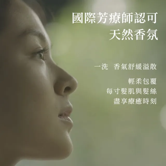 【Hair Recipe】舊品出清! 生薑蘋果/ 生薑清茶 洗髮精/潤髮乳530g 3入(強韌x防斷)