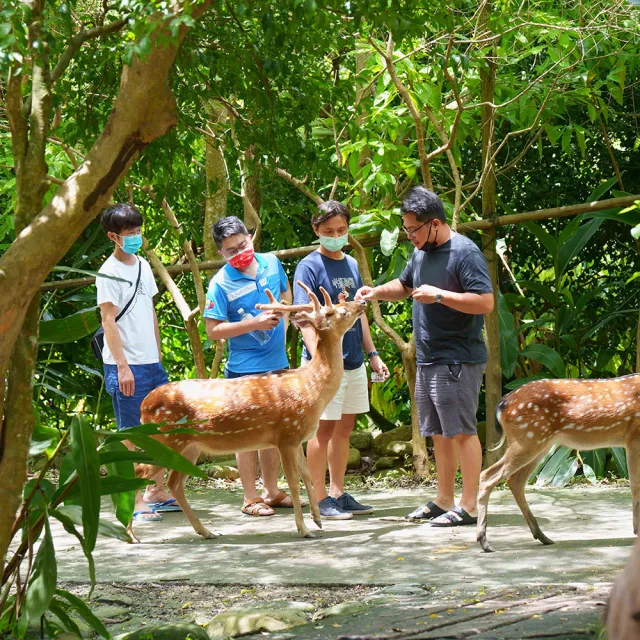 【阿信巧克力農場】入園門票活動券(MO)