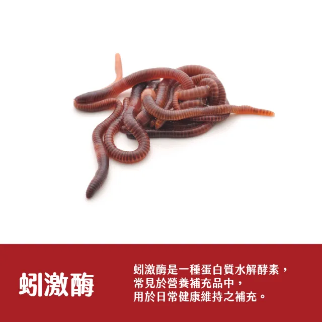 【得意人生】地龍酵素_蚓激酉每 膠囊 3入組(共180粒 紅麴_納豆_紅景天)