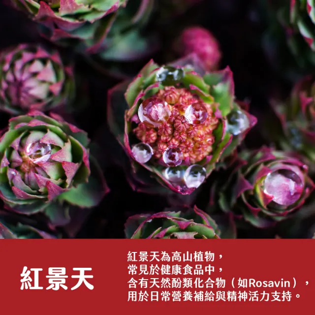 【得意人生】地龍酵素_蚓激酉每 膠囊 3入組(共180粒 紅麴_納豆_紅景天)