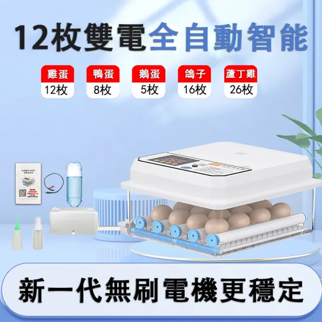 【巧可】110v智能全自動孵化器 小型款孵蛋機 家用微型孵化機 孵蛋器 孵化箱 12枚款 已電檢