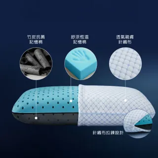 【Tonia Nicole 東妮寢飾】抗菌恆溫雙效記憶枕(1入)