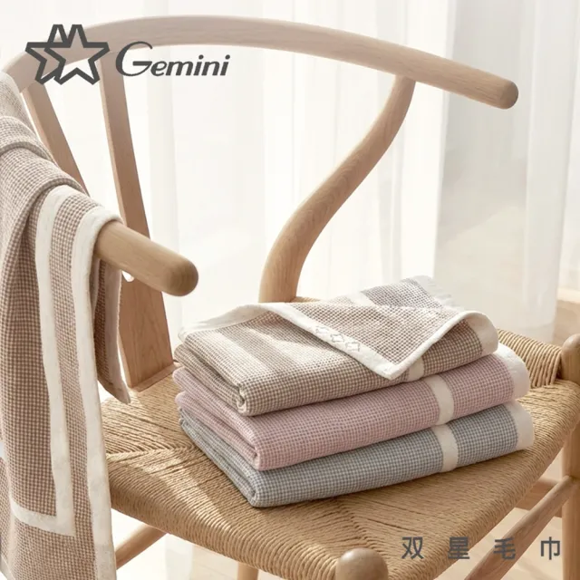 【Gemini 雙星】官方直營 100%純棉 無捻紗風車毛巾(毛巾超值2入組)