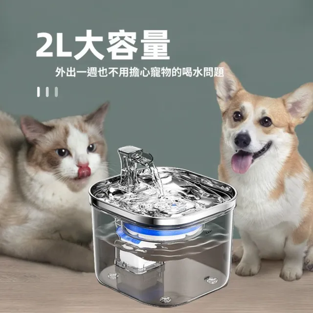 【Quality 聚家】透明飲水機 不銹鋼貓咪飲水機 循環過濾飲水機 自動飲水機(不黑下巴/智能控溫/安全靜音)