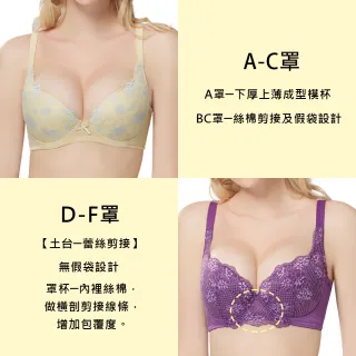 【Swear 思薇爾】買一送一2件組花斐系列A-F罩蕾絲包覆女內衣(2色各1)