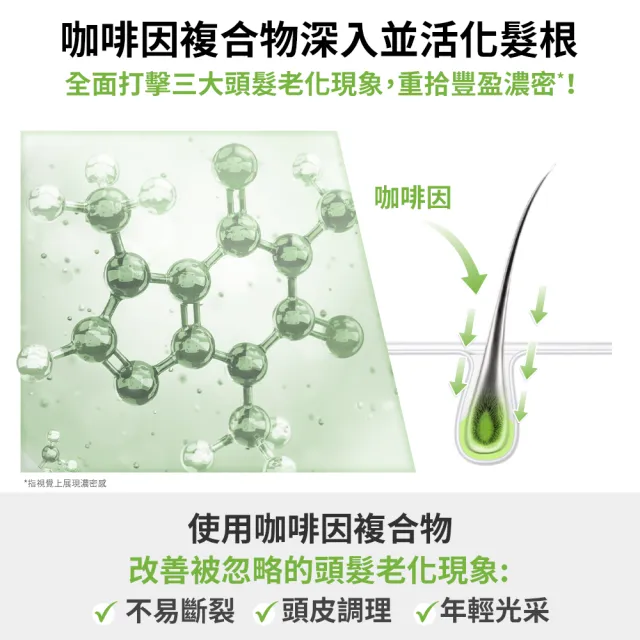 【Plantur 39】植物與咖啡因頭髮液 200mlx3(頭皮保養精華、免沖洗好吸收)