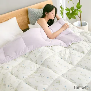 【格蕾寢飾】La Belle 韓式雙色暖膚絨石墨烯發熱可水洗雙人 冬被(雙人180x210cm棉被/直接蓋/快速暖/韓國被)