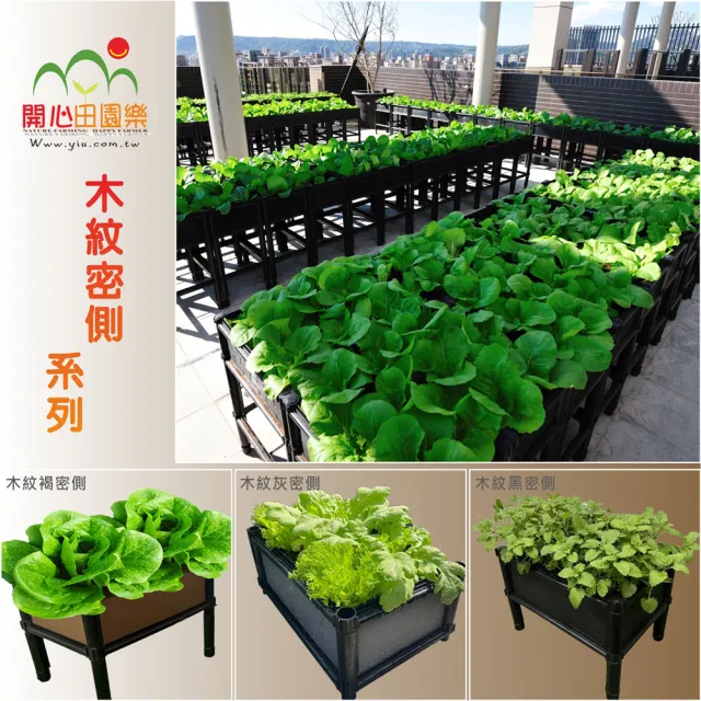 【田園樂】育材單層雙連通架高一節種植箱 60*45*31.5cm(組合種植箱種菜箱/籃耕離地栽培/)