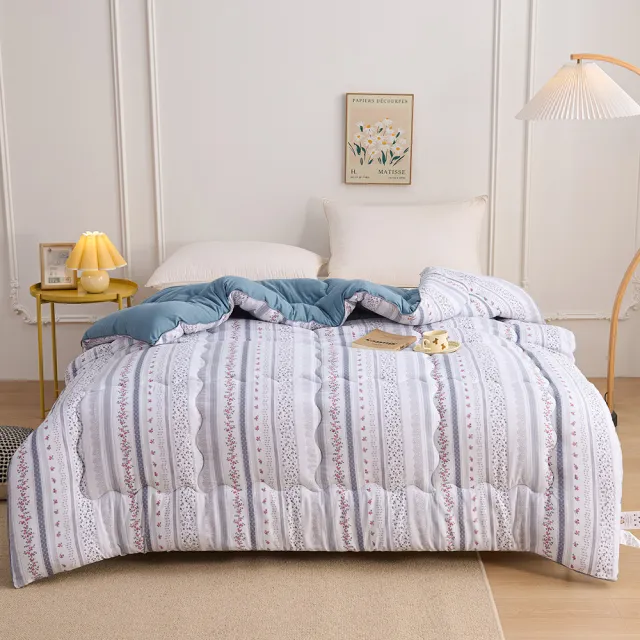 【日禾家居】買一送一 石墨烯保暖水洗被2.5KG 棉被 冬被(雙人180X210cm 多色選)