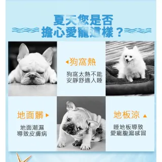 【ROYAL LIFE 皇室生活】寵物涼感冰絲面睡墊床窩-涼感床M 2入組(寵物窩/寵物涼感墊/透氣/狗窩/貓窩/睡床)