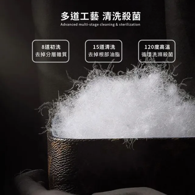 【A-nice】台灣製 飯店御用 立體隔間 95%天然極保暖羽絨被(雙人 6x7呎 棉被/冬被/羽絨被 WS5)