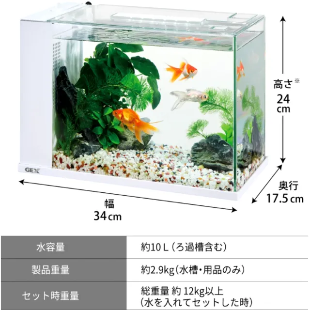 【GEX】白色輕鬆換水缸 療癒缸/日本五味/魚缸/更換濾材免濕手(馬達和LED燈皆USB電源 426白)