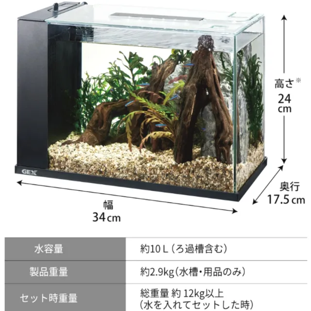 【GEX】日本五味黑色輕鬆換水缸 療癒缸/高質感外觀/魚缸/更換濾材免濕手(馬達和LED燈皆USB電源 426黑)