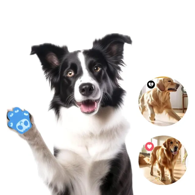 【Pet Universe 多寵宇宙】狗狗止滑貼-40入(寵物止滑貼 寵物足貼 狗狗腳貼 狗狗防滑貼 寵物腳貼 狗狗足貼)