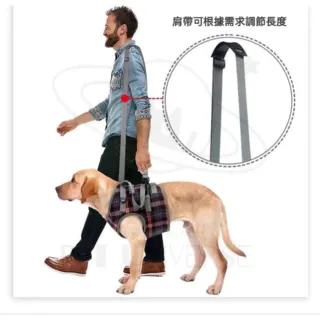 【Pet Universe 多寵宇宙】後肢輔助帶-英倫風(狗狗輔助帶 寵物輔助帶 狗輔助帶 老犬輔助帶 寵物輔助 老犬)