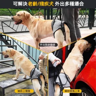 【Pet Universe 多寵宇宙】後肢輔助帶-北極灰(狗狗輔助帶 寵物輔助帶 狗輔助帶 老犬輔助帶 寵物輔助 老犬)