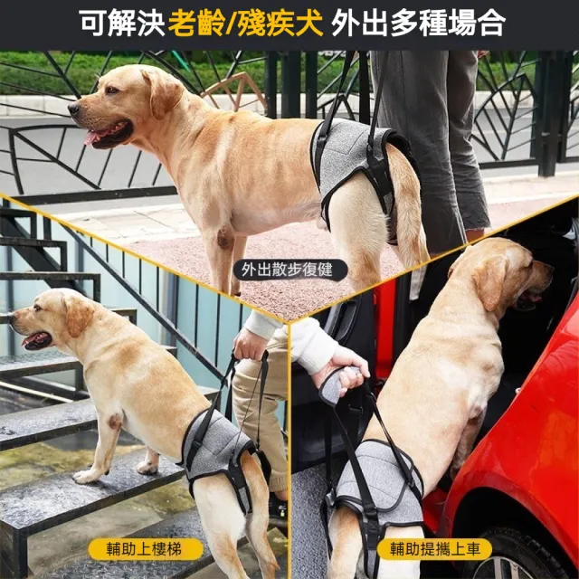 【Pet Universe 多寵宇宙】後肢輔助帶-北極灰(狗狗輔助帶 寵物輔助帶 狗輔助帶 老犬輔助帶 寵物輔助 老犬)