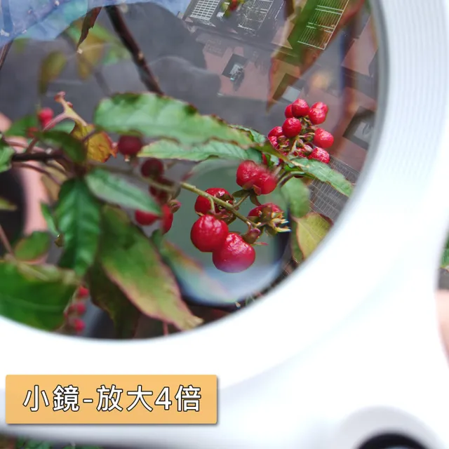 【HWATANG】樂鑑系列 2倍&4倍/4D/86mm 環形光&UV照明閱讀用手持放大鏡 N429(熟齡老花長輩銀髮閱讀)