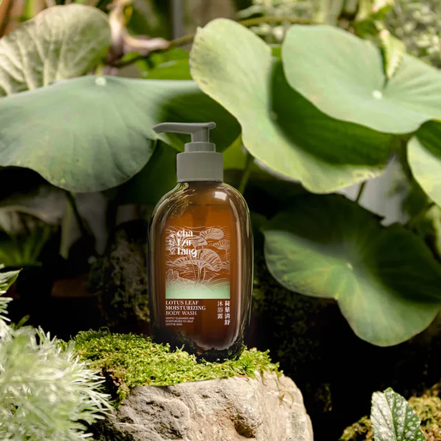 【茶籽堂】臺灣植萃保濕沐浴露500mL｜兩款調理任選(荷葉清舒/青蜜滋養/控油/鎖水)