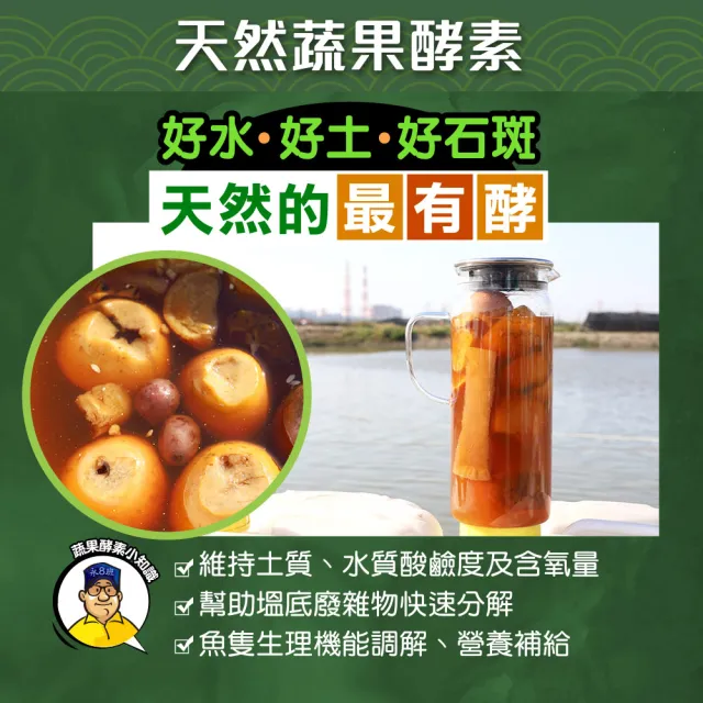 【蘇班長安心石斑】究極去刺龍虎石斑鮮魚切塊300g 3入組(機器+人工高規去刺 外銷加拿大)