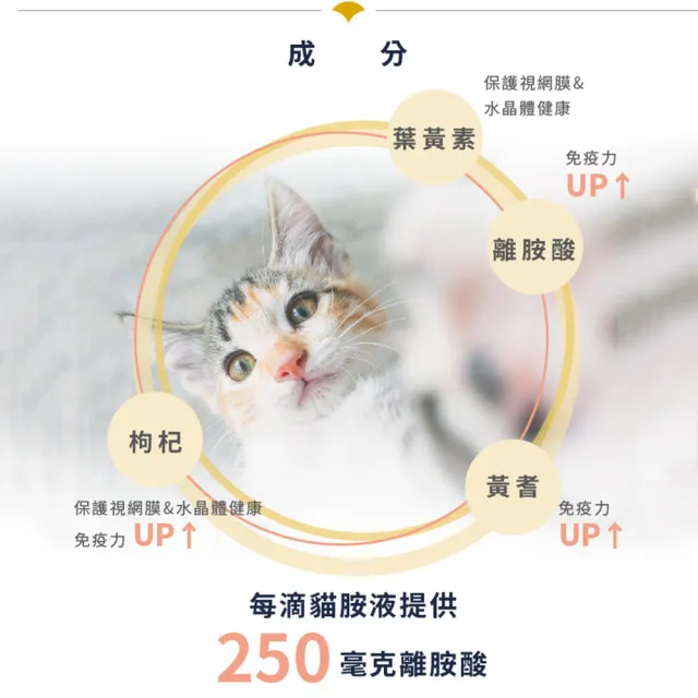 【SINGEN 信元發育寶】貓用呼吸道口服液-100ml/罐(貓狗保健/貓咪保健/呼吸道保健/離胺酸/提升免疫力)