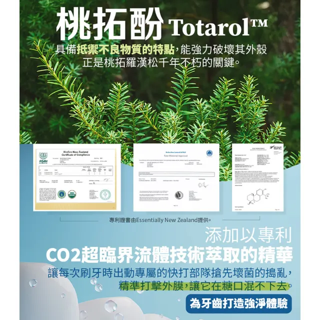 【古寶無患子】古寶漢學百里香精油牙齦護理牙膏-禦齒秘方100G(漢方健齒/清新消臭/好口氣/牙齦健康)