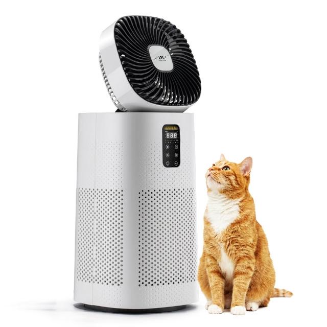 MOLIJIA魔力家 BY010096