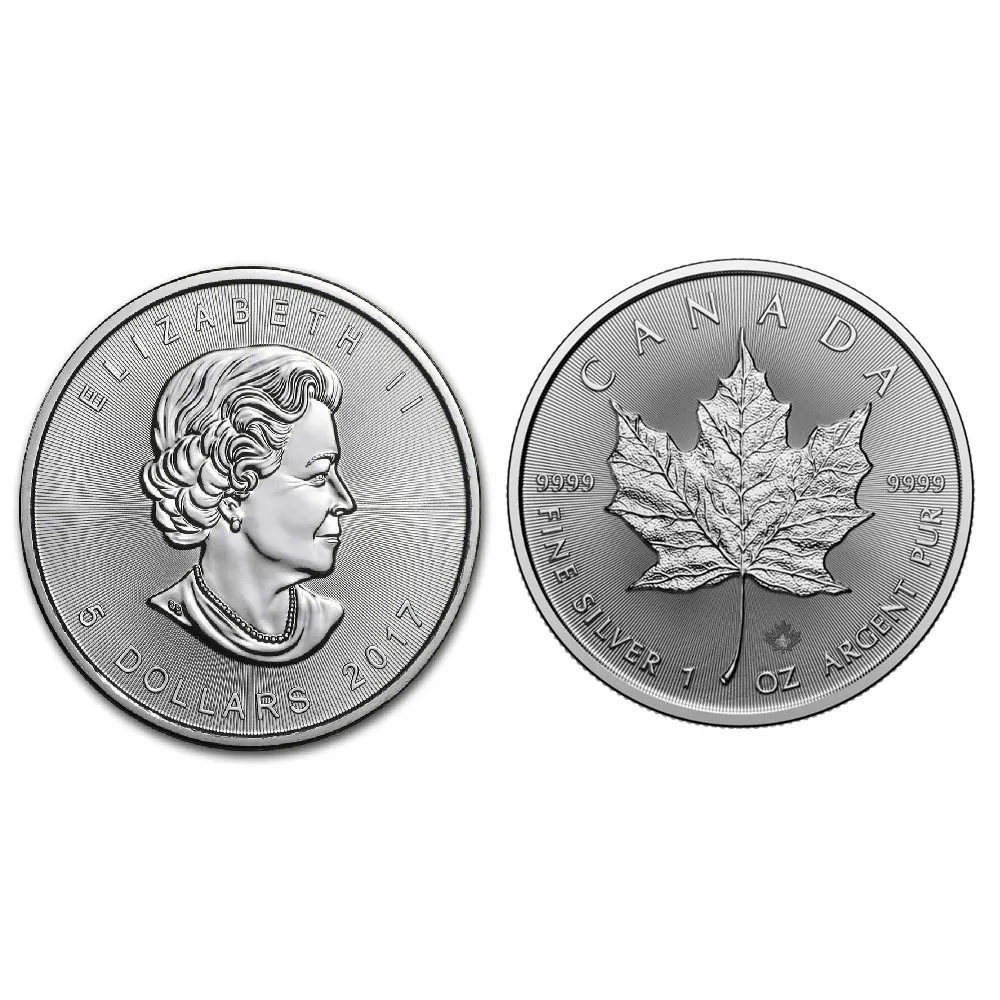 行闊國際) 1加拿大加鑄幣廠1盎司31.1g 楓葉銀幣伊莉莎白二世頭像版本年份隨機- momo購物網- 好評推薦-2026年1月