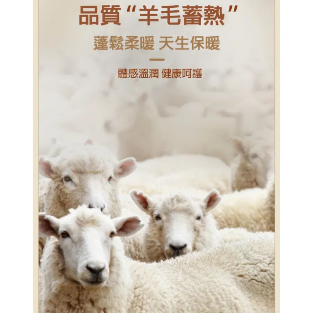 【莎邦婗】極速升溫蠶絲羊毛加厚德絨恆溫發熱衣 立領 高領保暖衣 男女(蓄熱鎖溫/寒流必備)(8011)